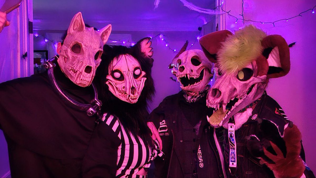 KaptainArr's tweet image. Skulldog takeover 💀🎃