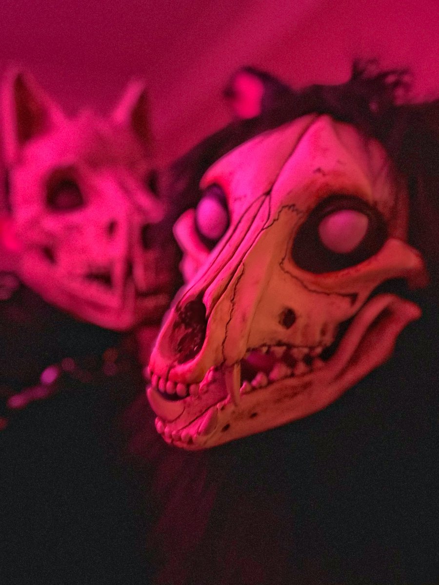 Skulldog takeover 💀🎃