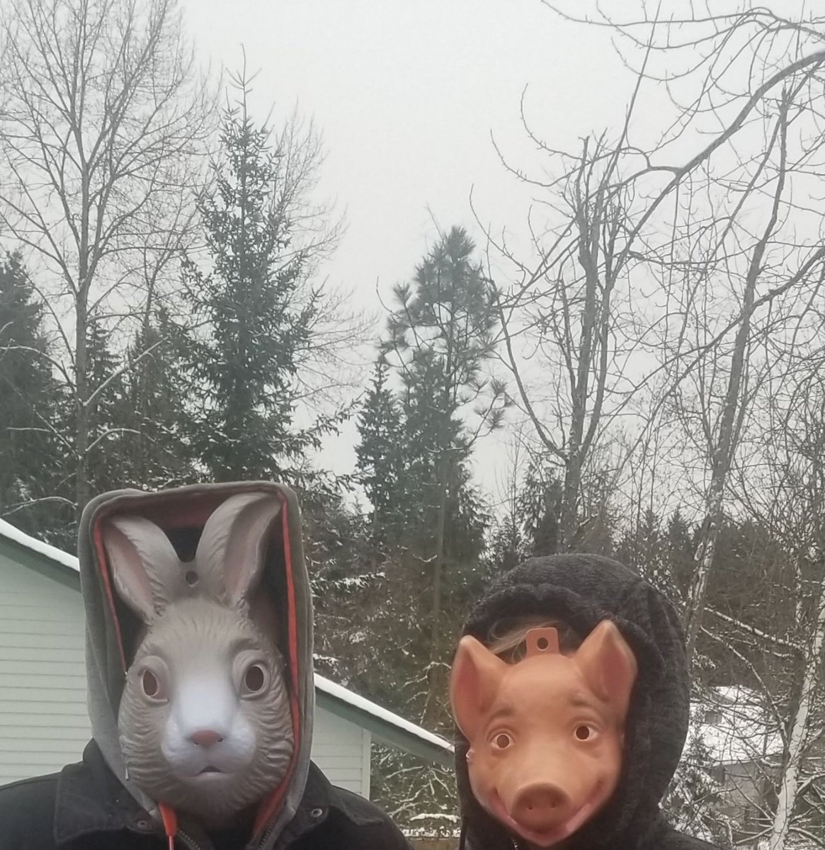 SurfSkateThrash tweet media