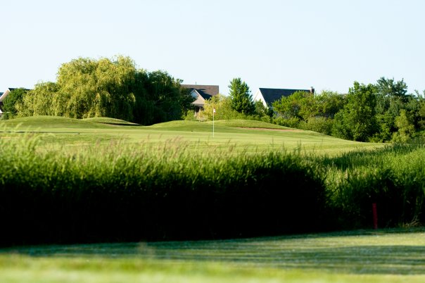 johnmanning2010's tweet image. Mill Creek. Course of the month November 2024 fippa.org/courses/mill_c… #pitchandputt #FIPPA