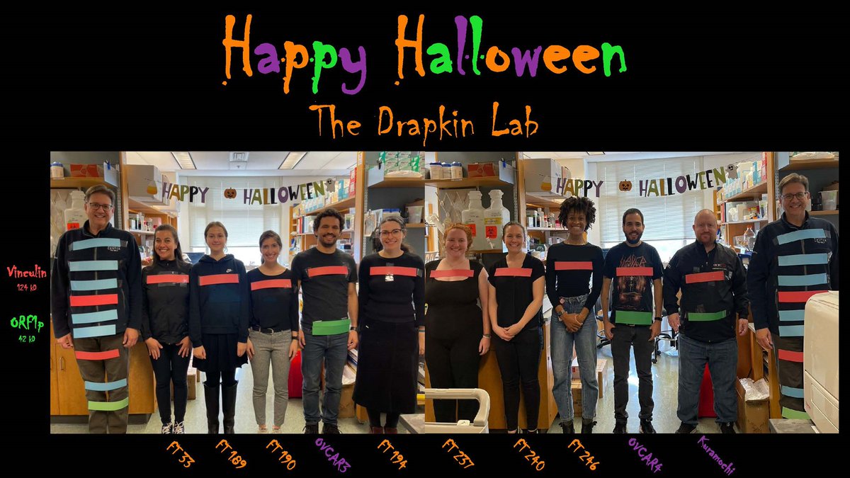 Ronny Drapkin tweet media