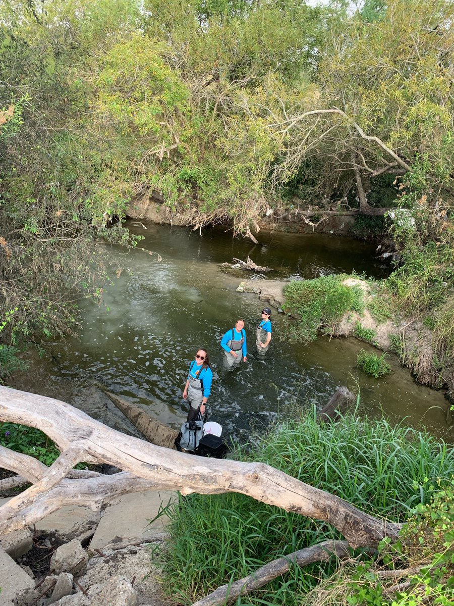 Nielsen Lab tweet media