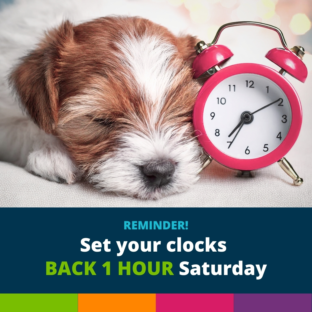 cdgi's tweet photo. Don't forget to make your clocks fall back an hour when you go to bed on Saturday night, November 2nd. ⏰
It's going to get darker earlier, but just remember:

💤 You'll get an extra hour of sleep. And who doesn't need that? https://t.co/cYz9CI3cJT