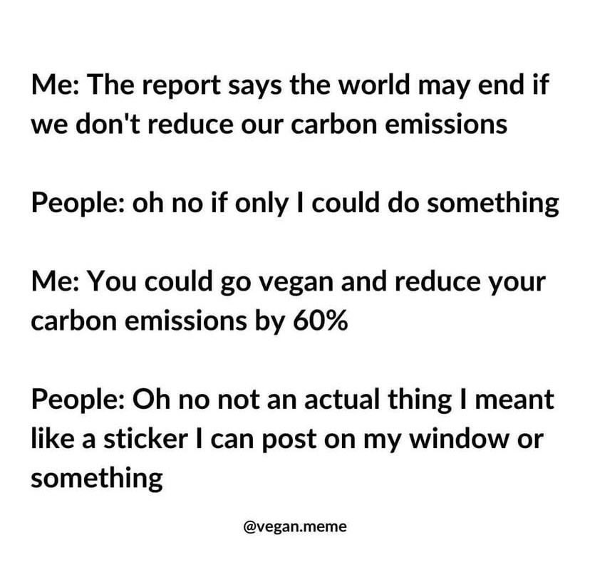 Megg Gawat 🌱 (@megggawat) on Twitter photo 