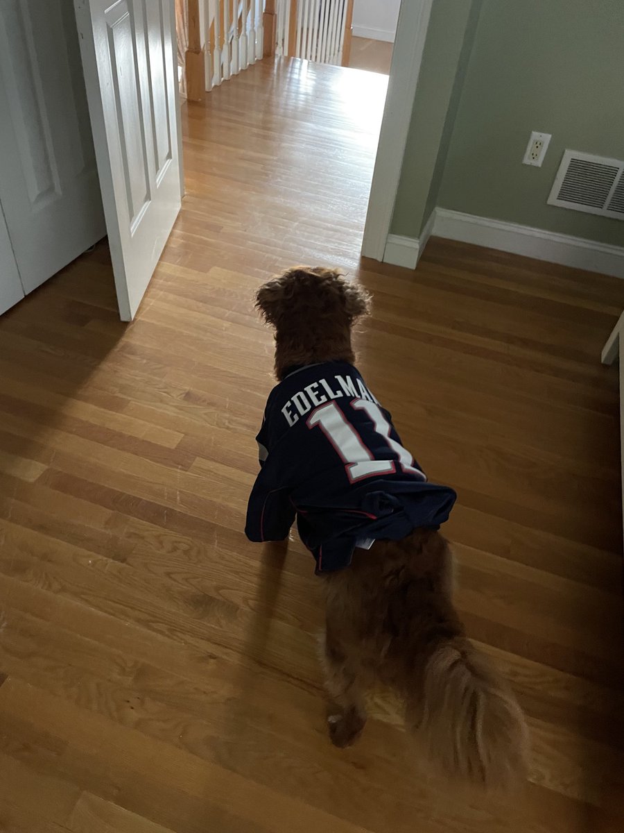 WDGrowth's tweet photo. ⁦@Patriots ⁦@Edelman11⁩ tough times won’t last; tough dogs do. https://t.co/LWRfA9zxKU