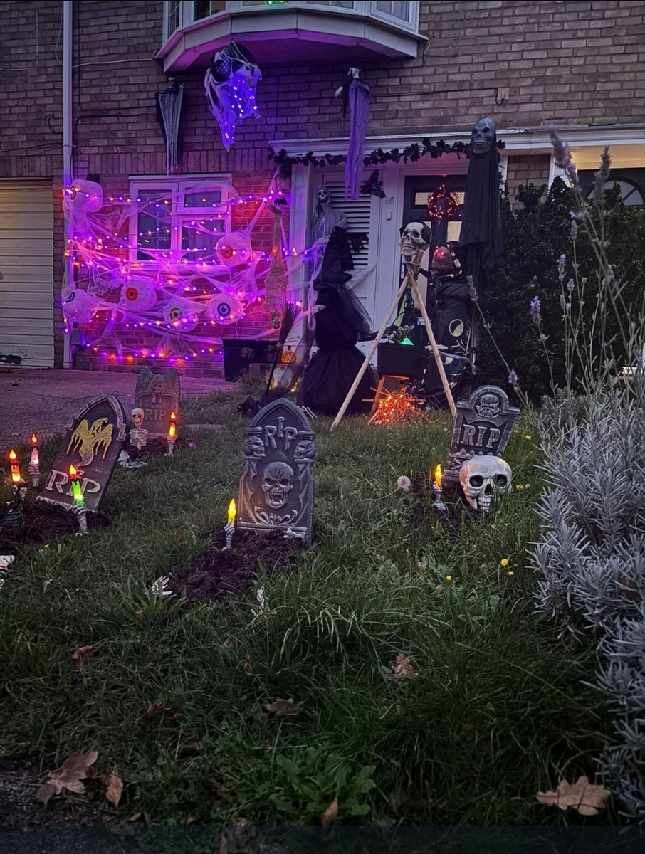 Matt Kempen 💙 🇺🇦 tweet media