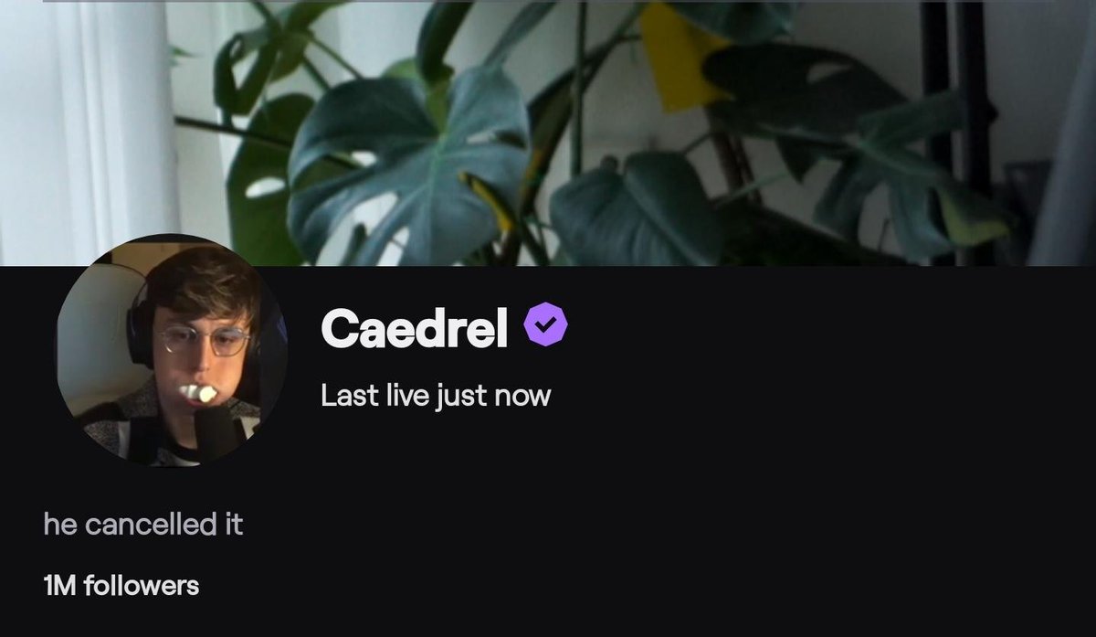 Caedrel tweet media
