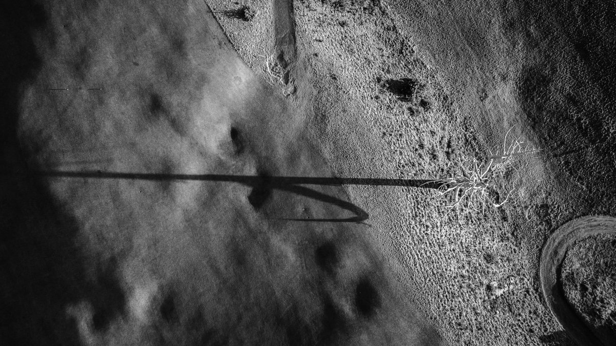 Fried Egg Golf tweet media