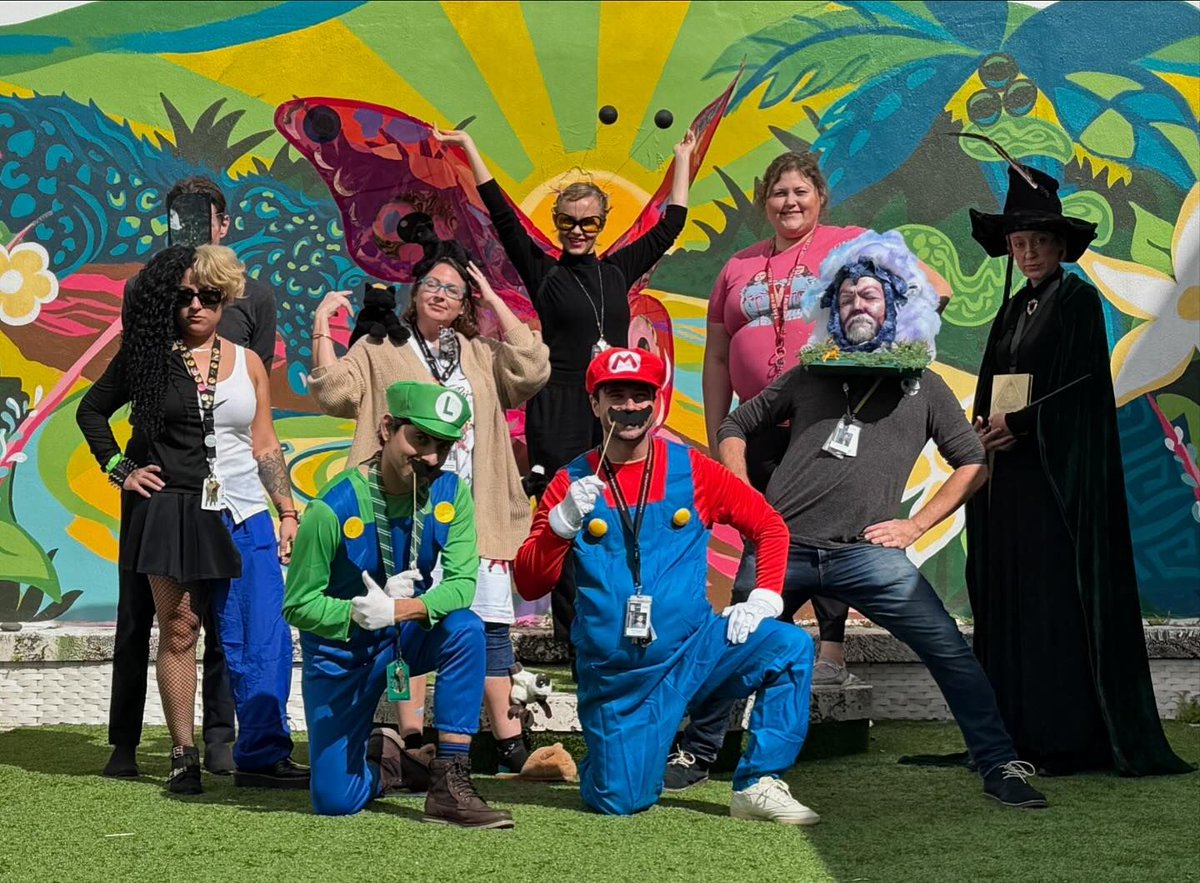 DSOA Foundation tweet media