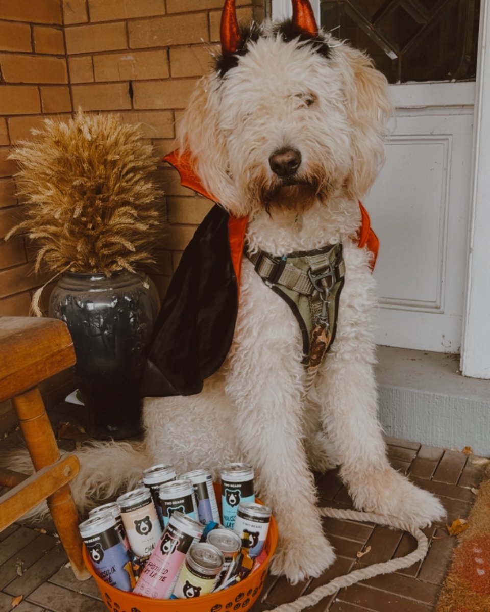 2BearsCoffee's tweet photo. 🎃 Grab at your own risk! 🧛 

Dare to reach in for a Salted Caramel Oat or Vanilla Latte? Drop a 🐾 if you’d brave it for a treat!

#HappyHalloween #TwoBearsCoffee #TrickOrTreat

Shop ➡️ https://t.co/r14vlA0yg1 https://t.co/1DI68BIrny