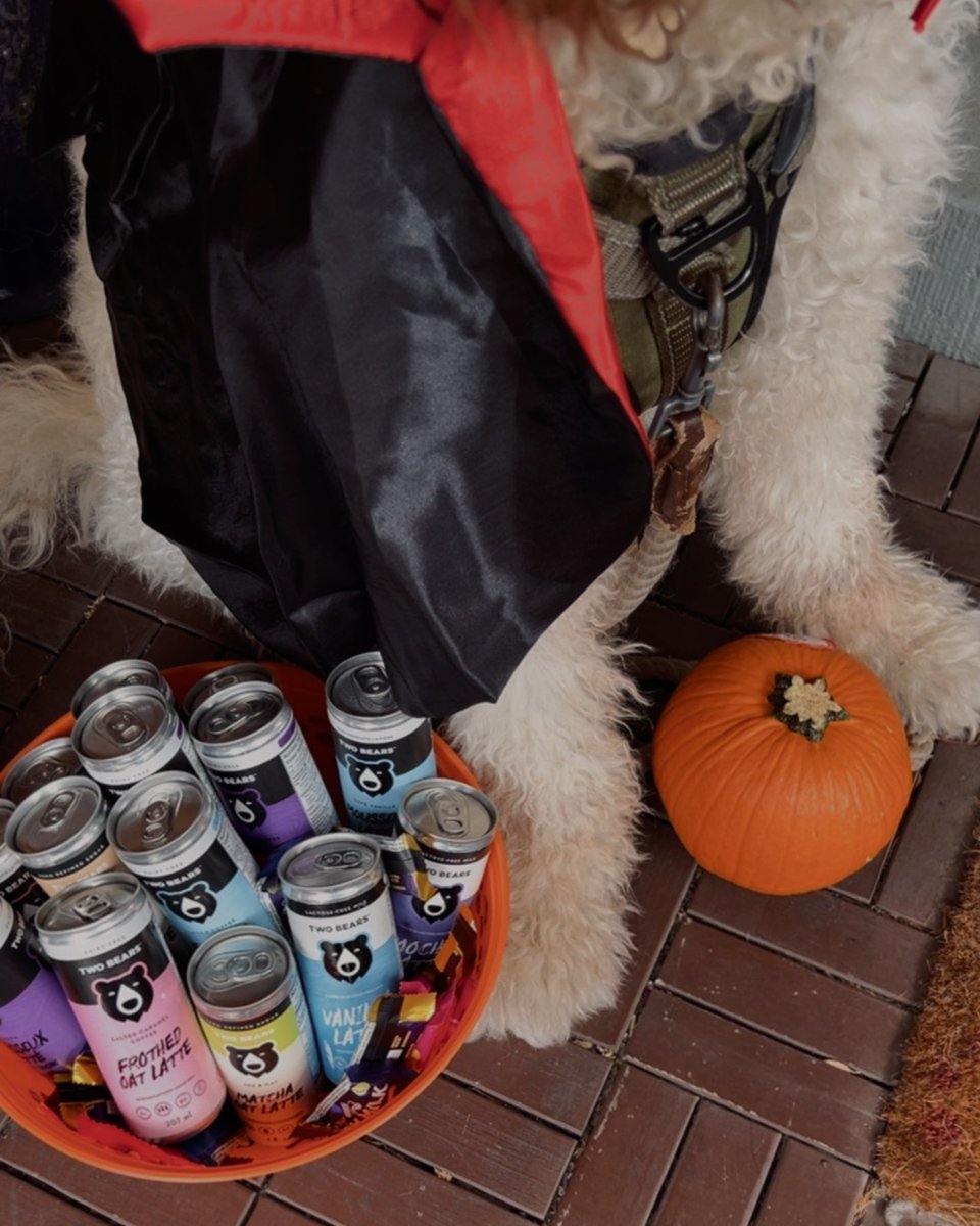 2BearsCoffee's tweet photo. 🎃 Grab at your own risk! 🧛 

Dare to reach in for a Salted Caramel Oat or Vanilla Latte? Drop a 🐾 if you’d brave it for a treat!

#HappyHalloween #TwoBearsCoffee #TrickOrTreat

Shop ➡️ https://t.co/r14vlA0yg1 https://t.co/1DI68BIrny