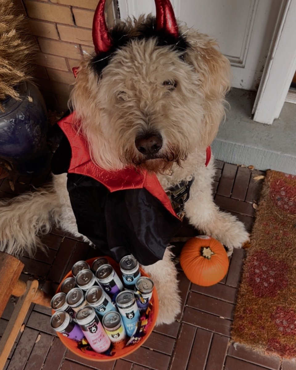 2BearsCoffee's tweet photo. 🎃 Grab at your own risk! 🧛 

Dare to reach in for a Salted Caramel Oat or Vanilla Latte? Drop a 🐾 if you’d brave it for a treat!

#HappyHalloween #TwoBearsCoffee #TrickOrTreat

Shop ➡️ https://t.co/r14vlA0yg1 https://t.co/1DI68BIrny