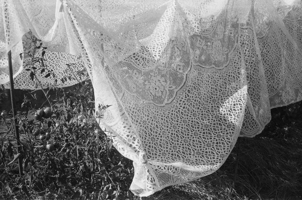 Martin 🇺🇦 tweet media