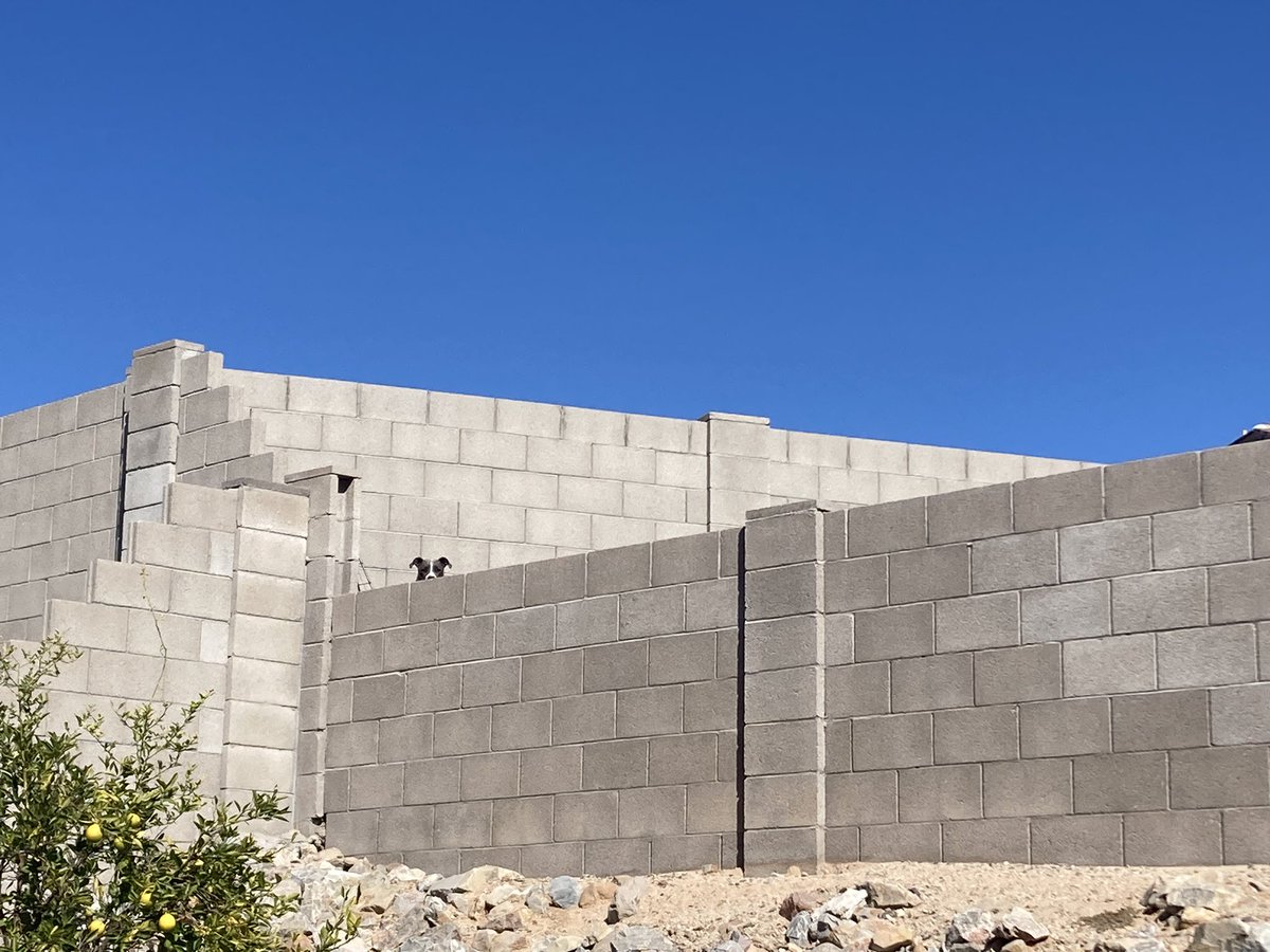 Doc_Harding's tweet image. Visiting Tucson and I feel like the walls have eyes.