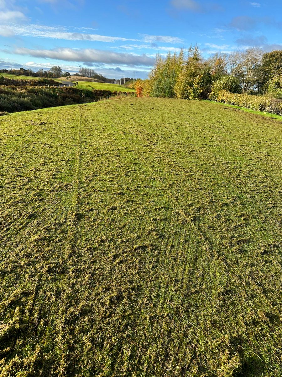 ShaunEmbas's tweet image. Tees getting a good clean out