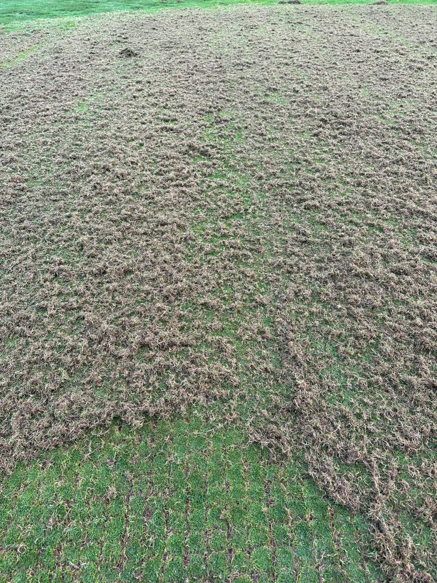 ShaunEmbas's tweet image. Tees getting a good clean out