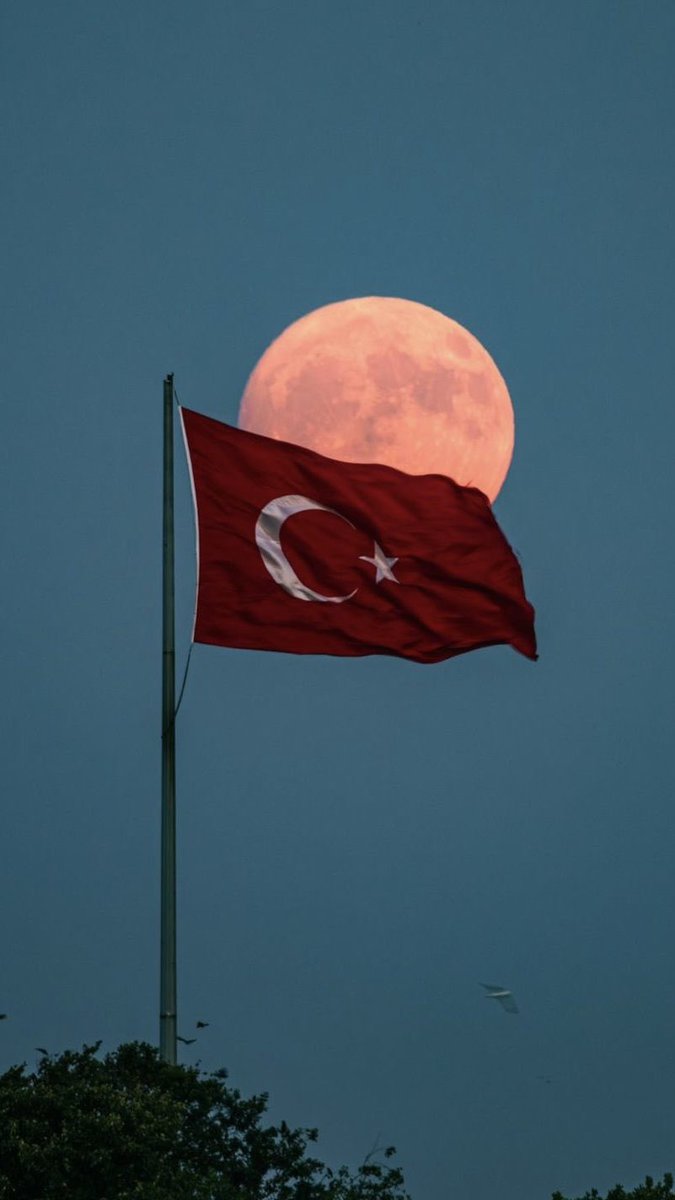 Türkiye Cumhuriyeti vatandaşlarının yalnızca bir bayrağı vardır; o da Türk bayrağıdır. 
Sen kimsin Özgür Özel ?
🇹🇷🇹🇷🇹🇷🇹🇷🇹🇷🇹🇷🇹🇷🇹🇷