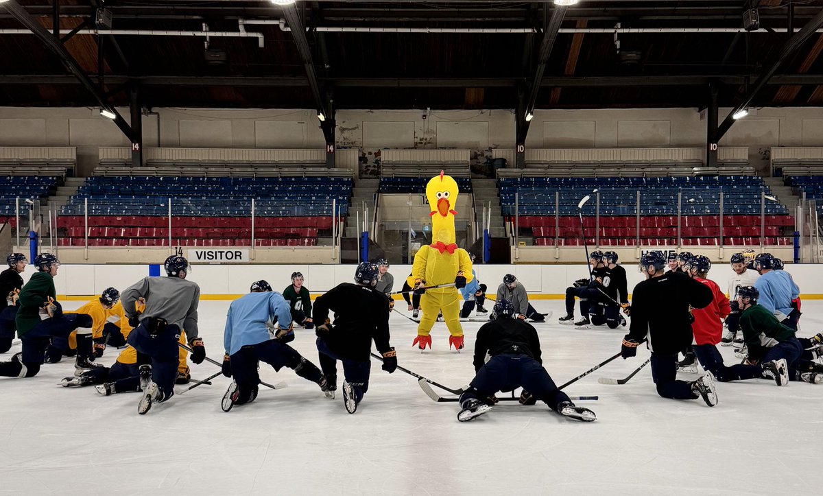 Happy Halloween from the Gaels! #KARMA #ChaGheill🇷🇴 #ForGold <a href="/queensgaels/">Queen's Gaels</a>