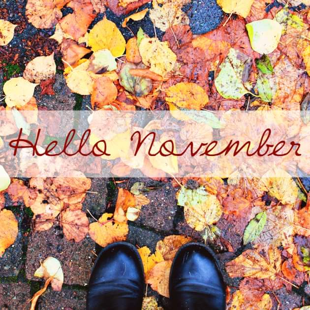 Nicola Quick FEPAA (@njquick) on Twitter photo 