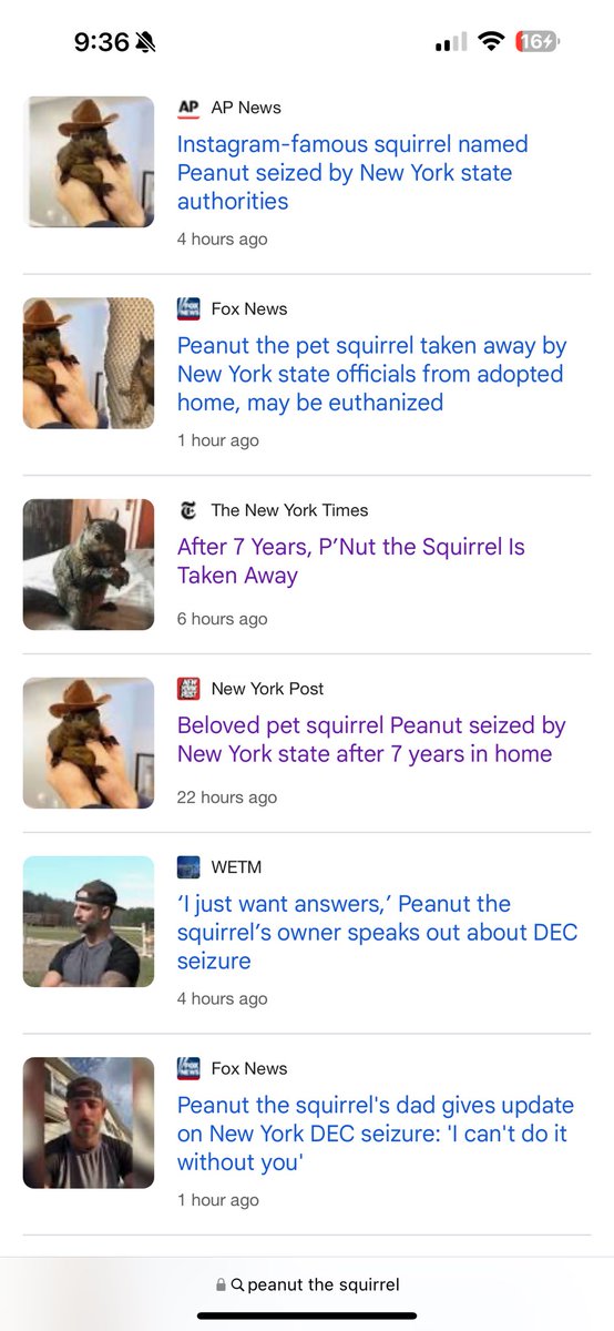 Squirrel_Dad tweet media