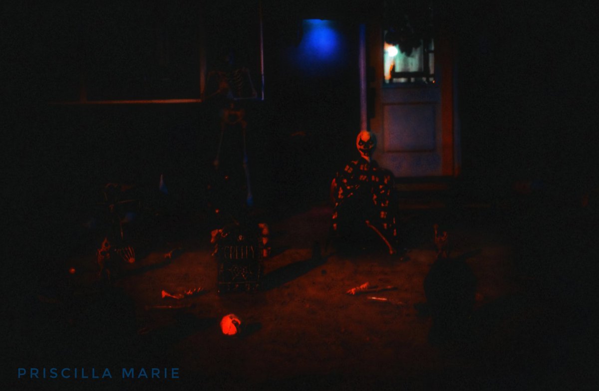 SkillarPillar's tweet photo. Eyes shining in the dark like crystal pools
I can hear your heart
Disgusting
Fade from me

#clowns #happyhall https://t.co/67ntag9vGs
