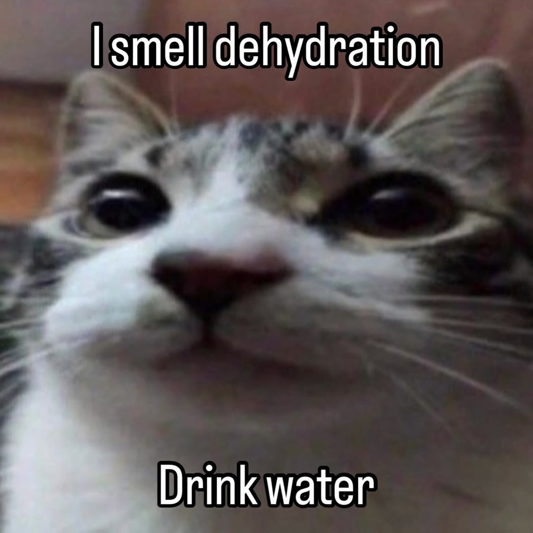 Catsillyness's tweet photo. Drink water https://t.co/1xcJg0tgjQ
