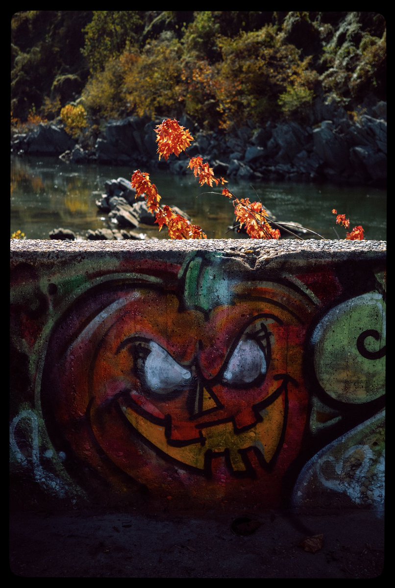 Cycleboredom tweet media