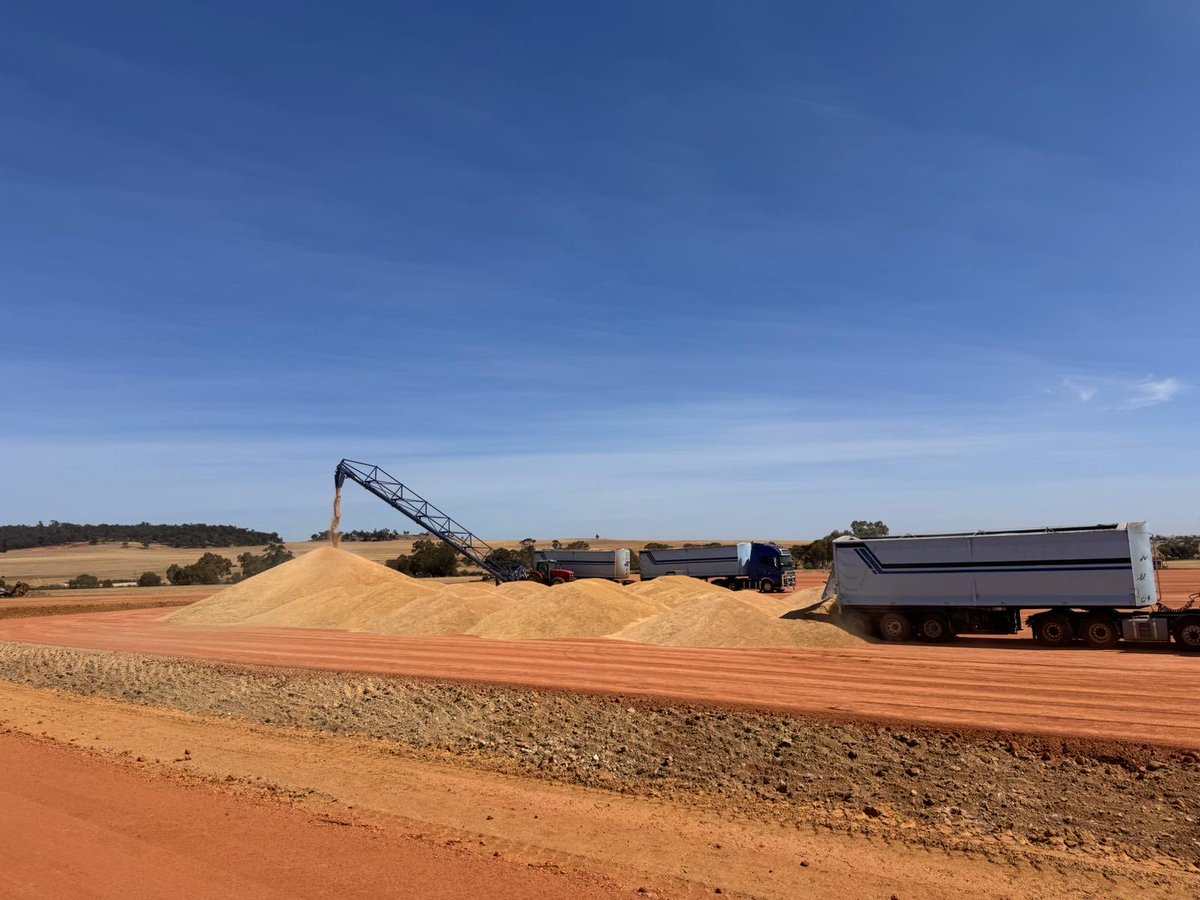 Combination of tipping and grid stacker keeping trucks moving nicely.
