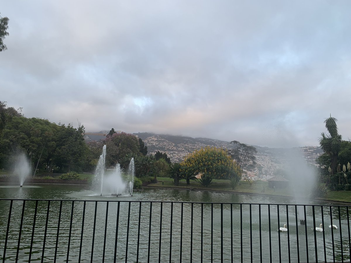 JamesRoarty's tweet photo. @_Honey_Scott_ a little slice of #Madeira!!! So wonderful if you like it hot &amp; humid!!! #Funchal &amp; #PontaDoSol delightful to explore &amp; visit. 🇵🇹🇵🇹🇵🇹 https://t.co/GaPBTnyPNI