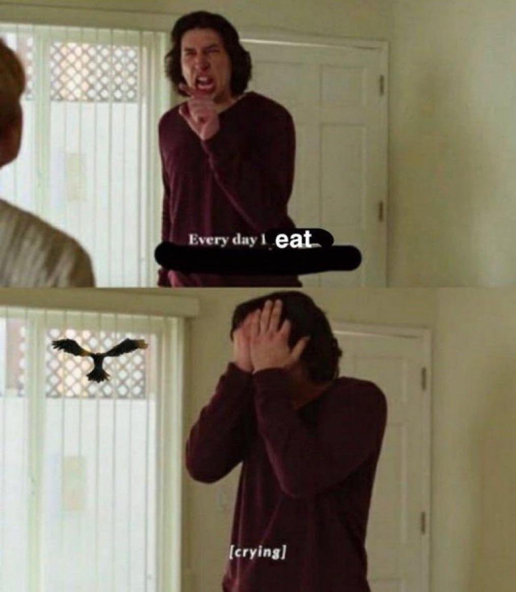 celia ೀ (@miroueats) on Twitter photo 