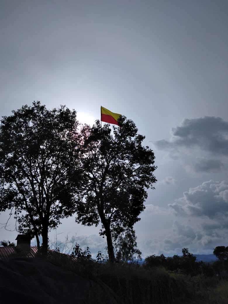 Today, November 1st is Karnataka formation or reorganisation day. It is the most important day for all Kannadiga people. We celebrate it with great enthusiasm, gusto, pride and joy. The residents of Karnataka from outside who are not aware of this, better learn about it. The