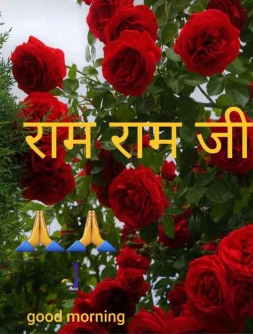 शुभ प्रभात आपका दिन शुभ हो 
राम राम जी 🙏