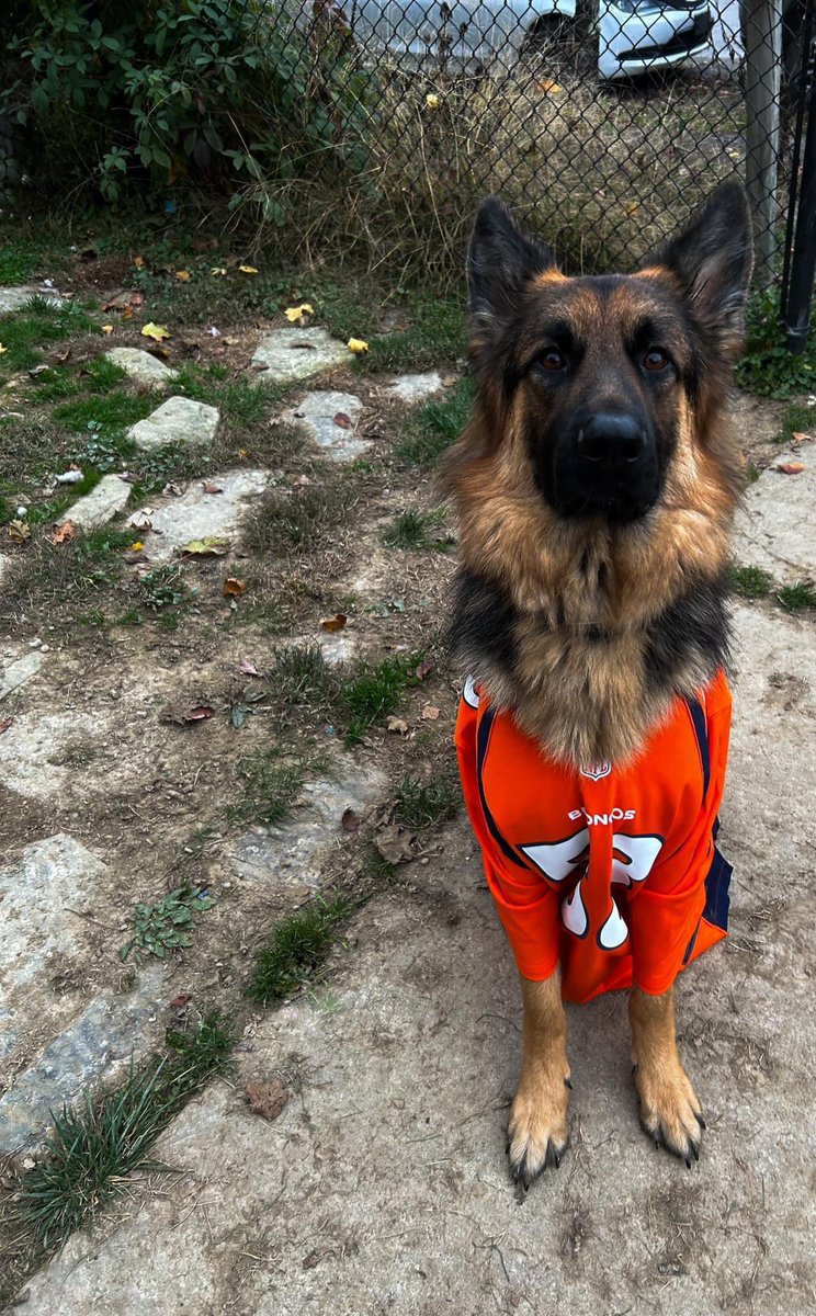 Bronco in his Broncos jersey #TNFonPrime