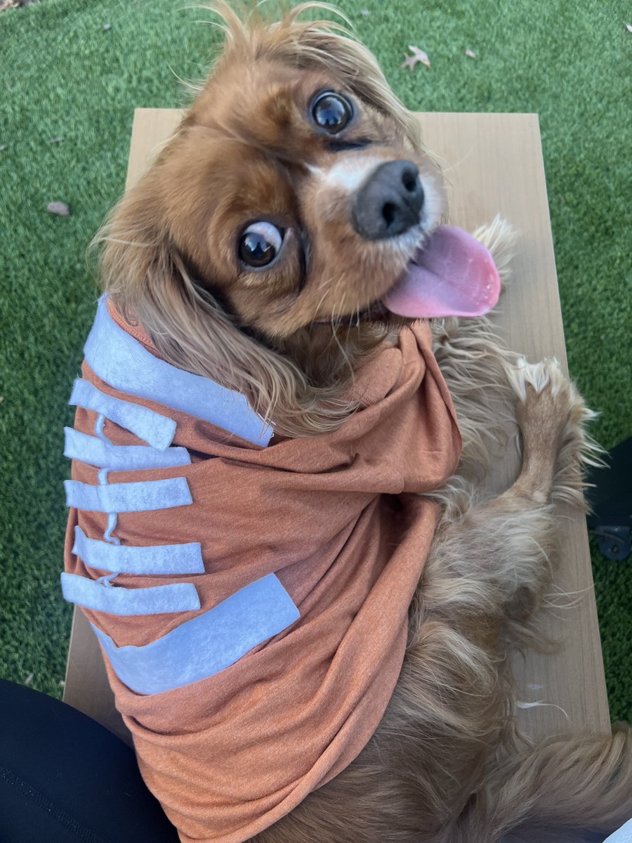 No fumbles here #gobirds #TNFonPrime <a href="/Eagles/">Philadelphia Eagles</a> <a href="/NFL/">NFL</a>