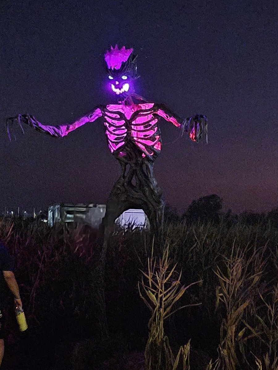 MisfitMandy 击🦂 tweet media