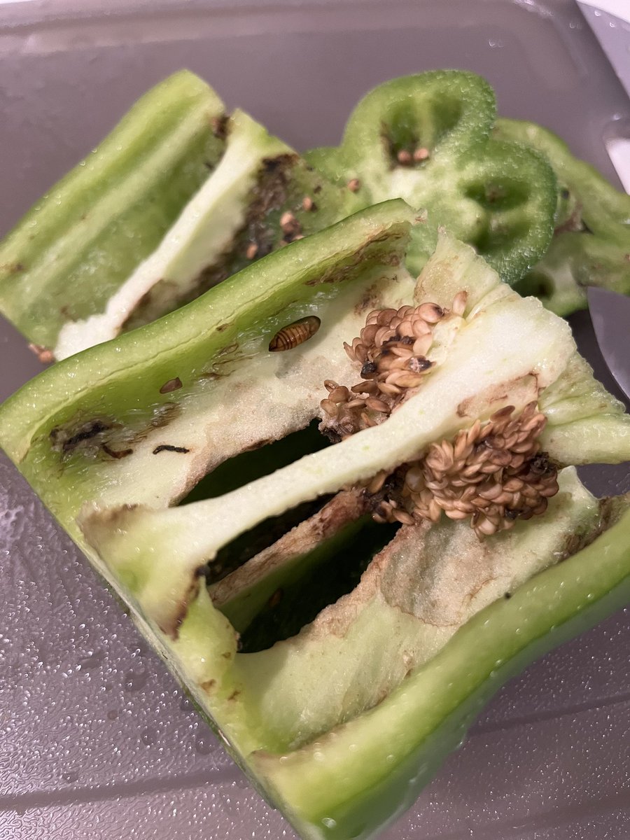 Chris S. tweet media