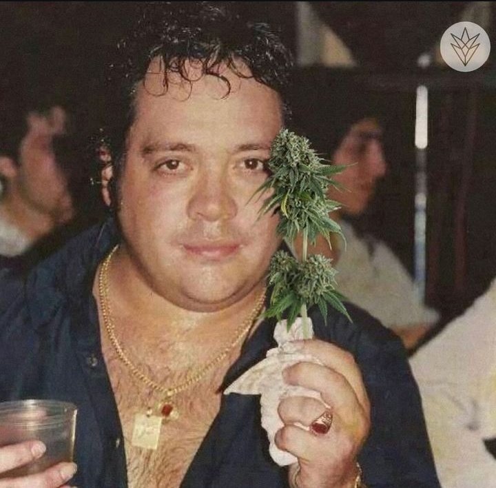 yo cayendo a tu casa a reconquistarte nuevamente