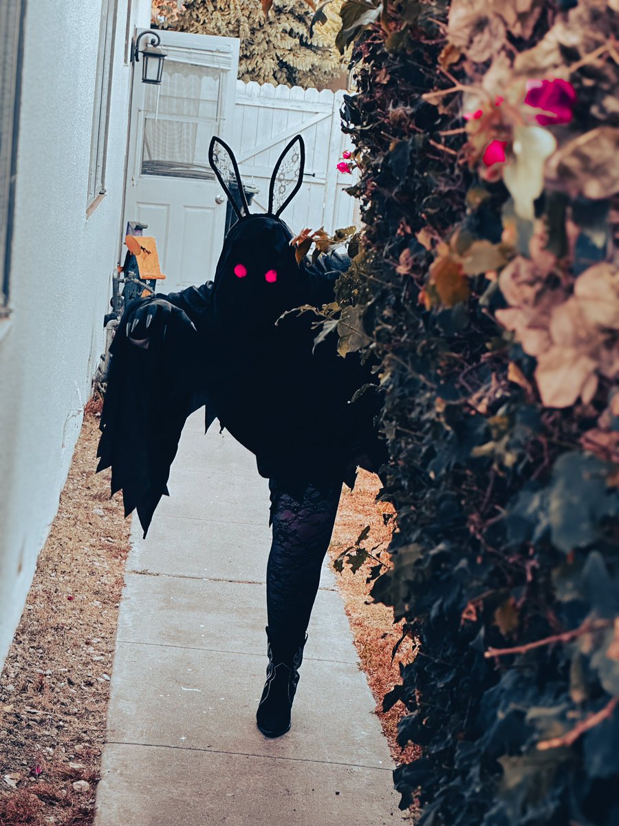 Lacey Johnson Music tweet media