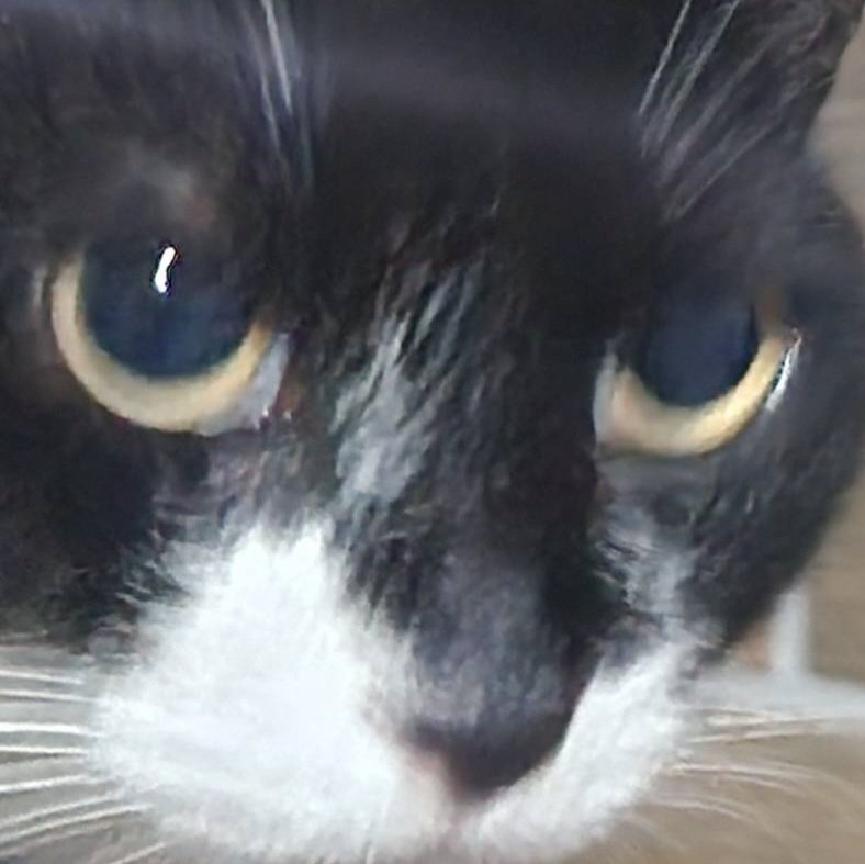 Panderlandchi(忌引きのため返礼遅延中ですがお休みします) tweet media