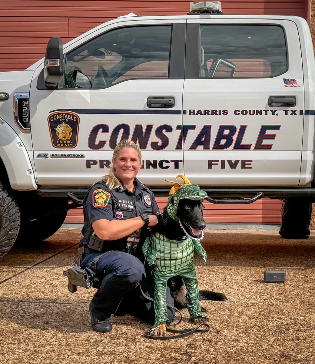 K9 Thor is more than ready for his shift today….
#K9Officersinc #k9 #thor #halloweencostume