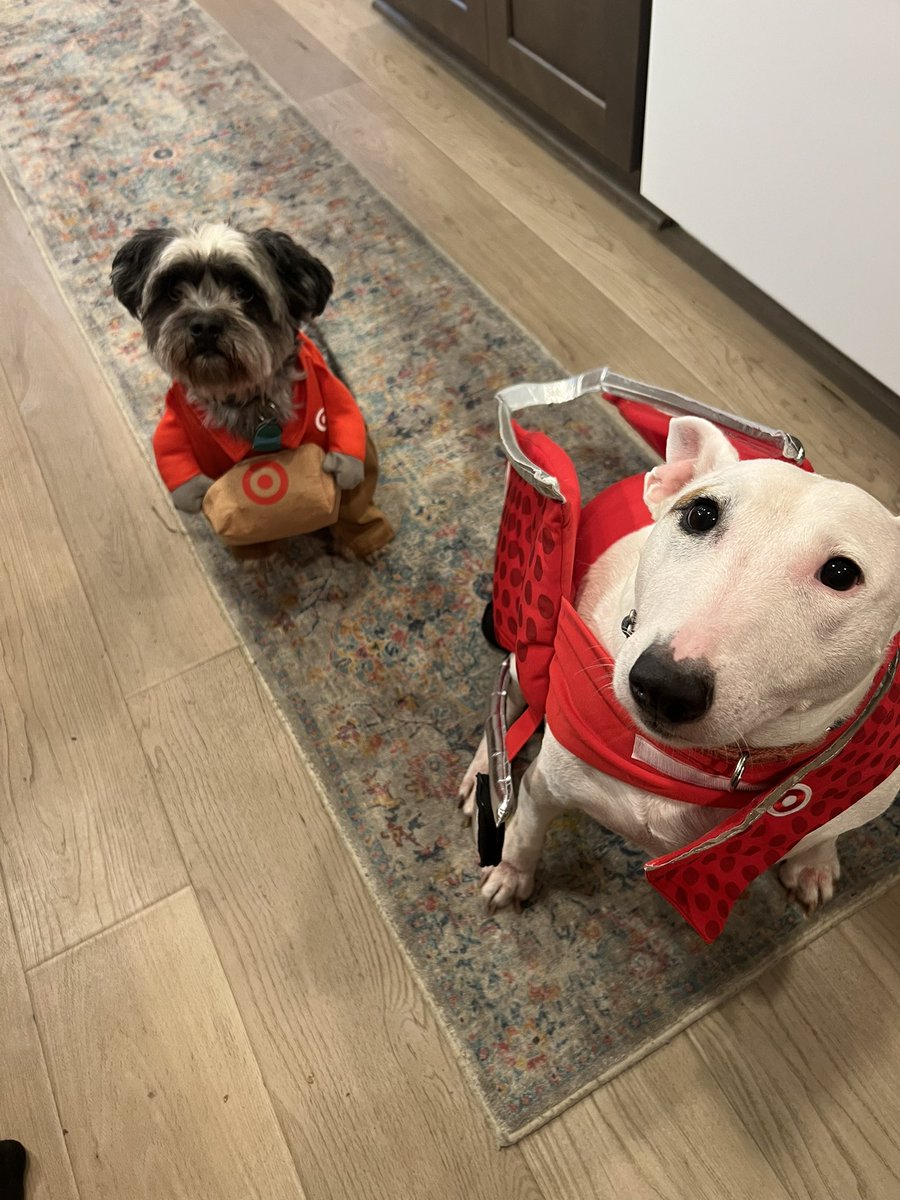 RealMattyBoom's tweet photo. @Target I found these two to be very unhelpful… #halloween2024 https://t.co/veVVgz3GIx