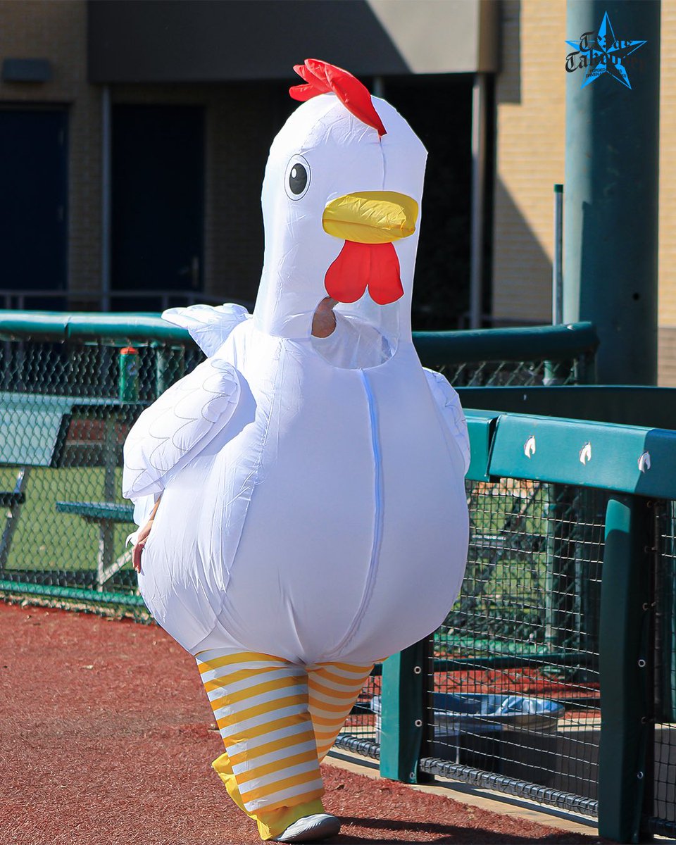 UTA Baseball tweet media