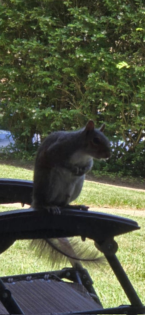 Happy Halloween 🎃  friends 🧡 May your day be filled with goodies and  safe spooky 👻 night 🌙 ✨️