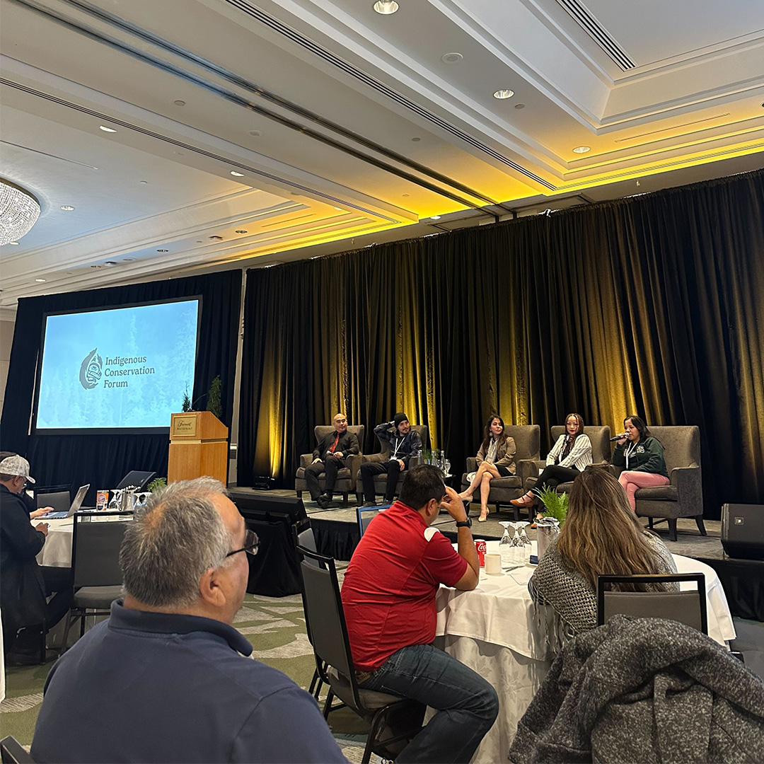 coastfunds's tweet photo. 🌿✨ The Indigenous Conservation Forum, hosted by nine Nations with support from Coast Funds, showcased efforts in establishing protected areas and shared insights on stewardship. Over 70 Indigenous Nations participated—stay tuned for a recap! https://t.co/NpyUe1kAQo