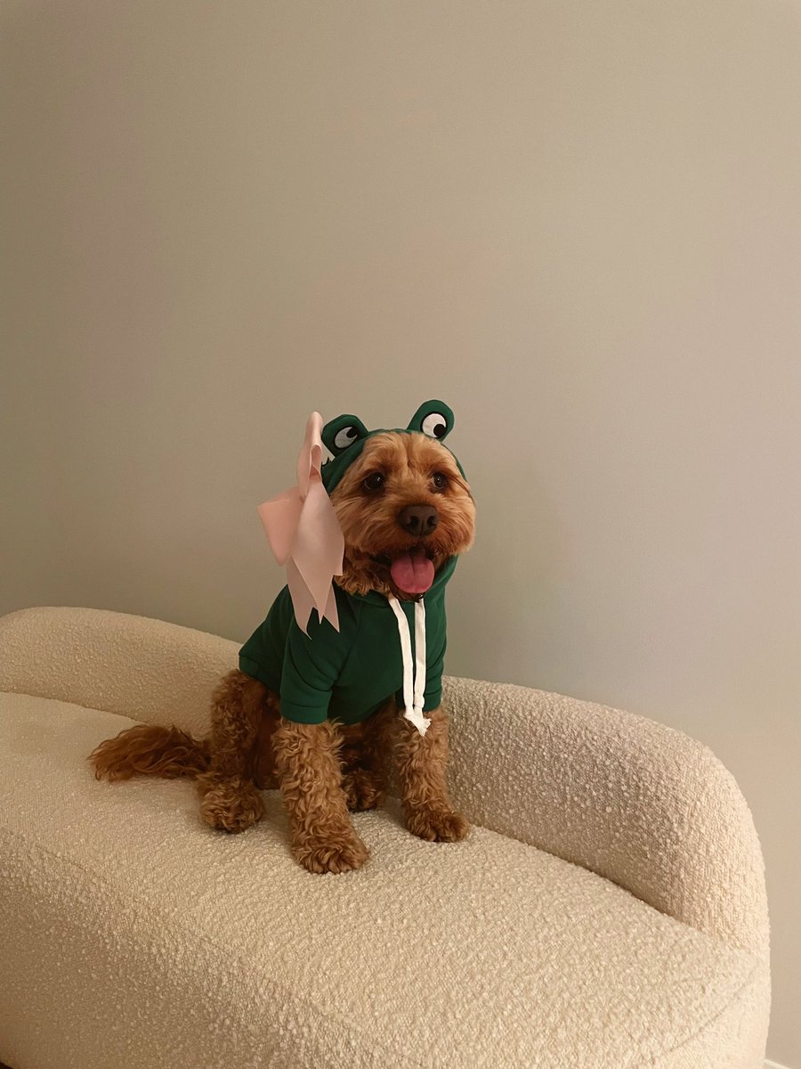 happy halloween! 💚 🩷