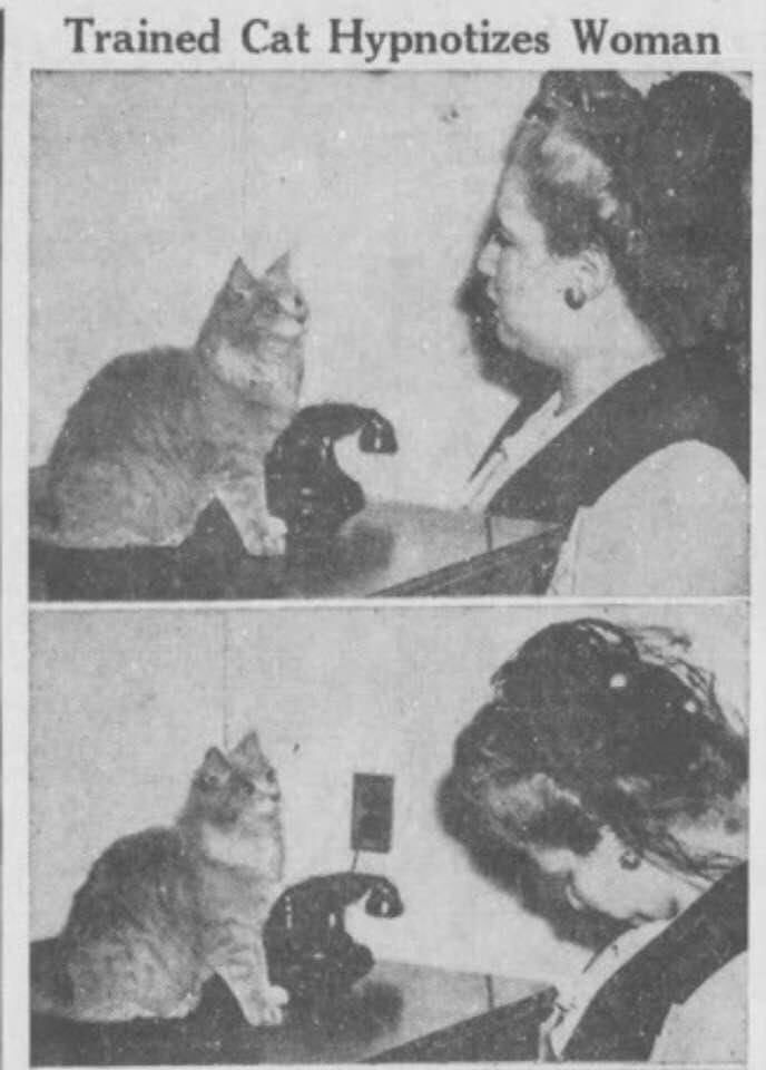 Nastasya Preacher.cinema... (@anastasyacinema) on Twitter photo 