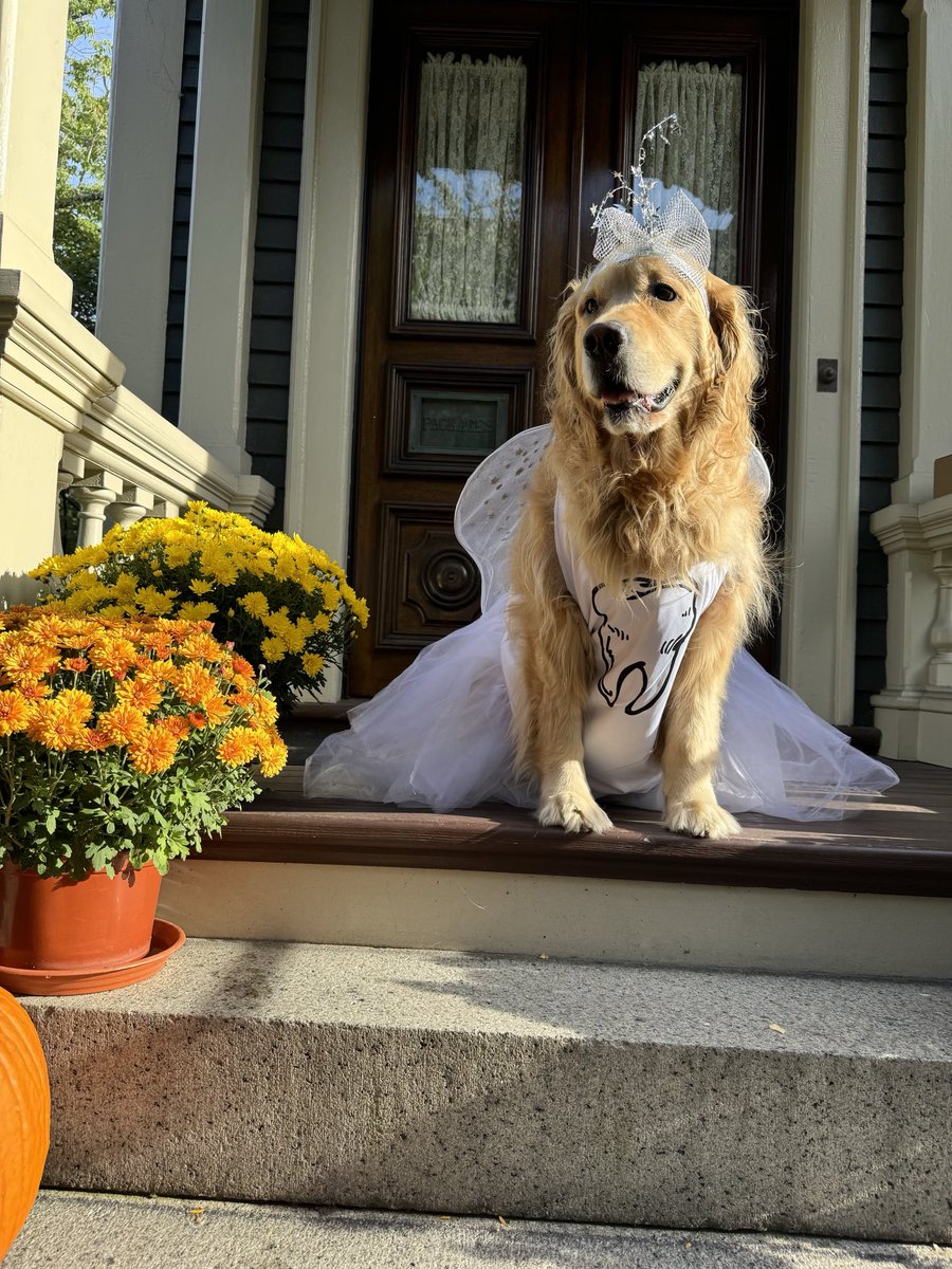 Elizabeth Warren tweet media