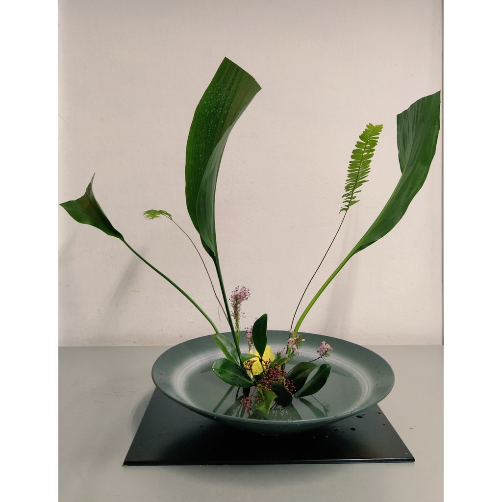 Mi ikebana de hoy estilo libre jiyuka  
今日の私の生け花です。自由花 です。 <a href="/ikenobo550/">いけばな池坊【公式】</a> <a href="/shiranmaki/">紫蘭まき</a> <a href="/asanact/">Antonia San Juan</a> <a href="/FIONAFERRER/">Fiona Ferrer-Leoni</a> <a href="/Carmen_Lomana/">Carmen Lomana</a> <a href="/rossydpalma/">rossydepalma</a> <a href="/BisilaBokoko/">Bisila Bokoko</a>
