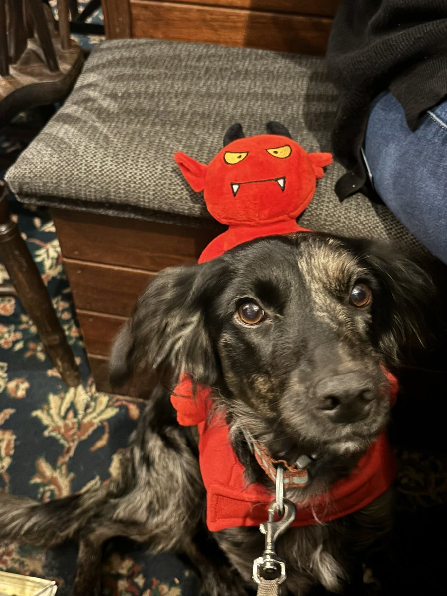 Ffrind newydd Enlli heno.