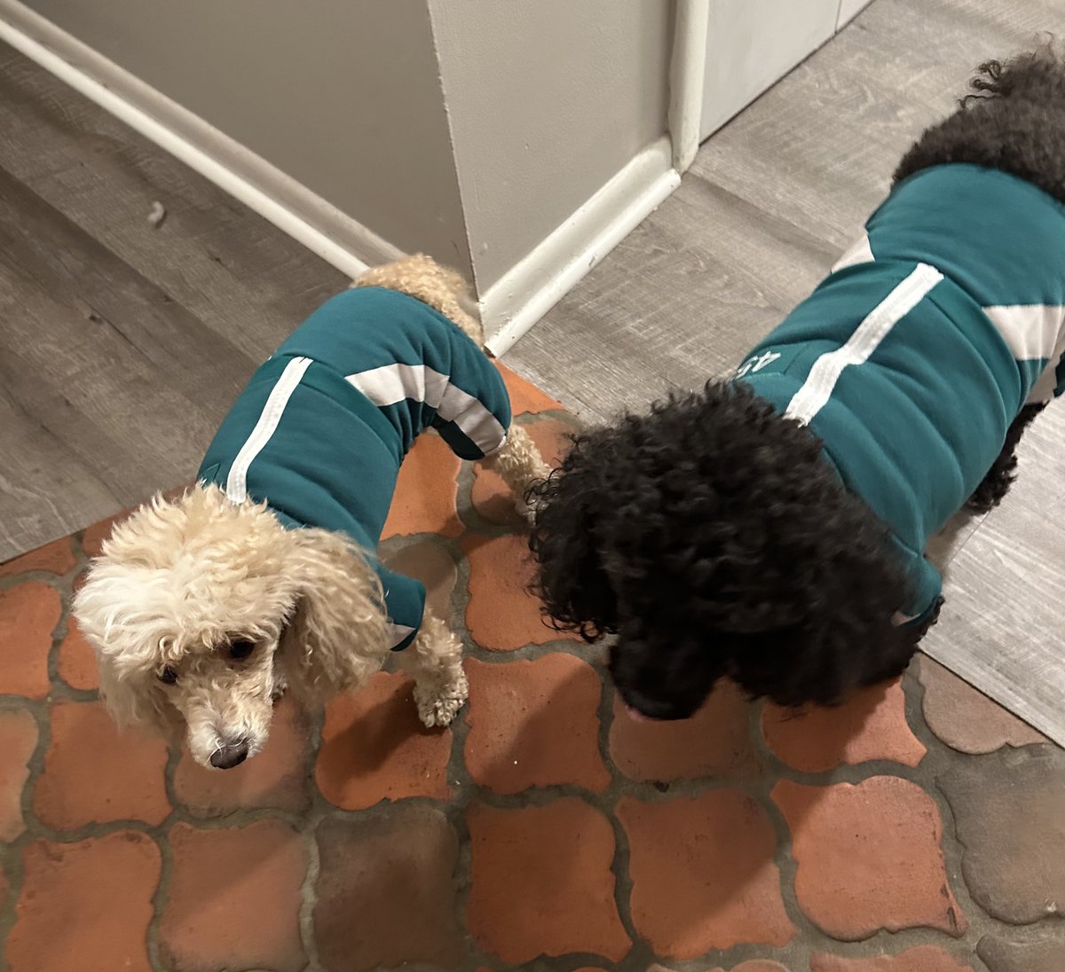 Happy Halloween!! 🎃